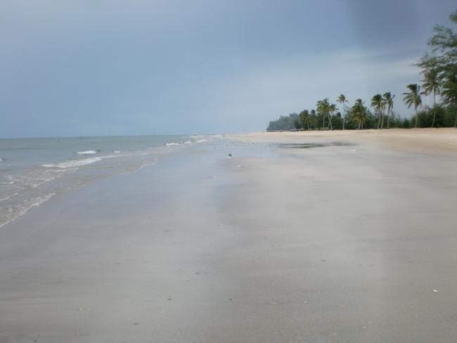 SANY7365.jpg